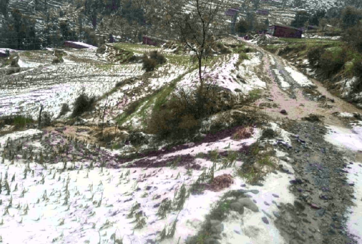 Heavy rain in many areas including Jammu