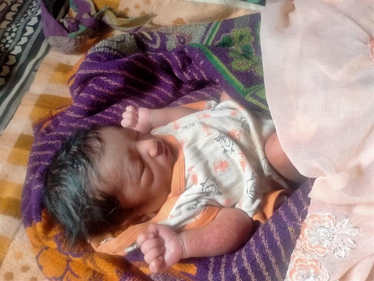 In Sujanpur, a newborn baby was thrown into the bushes