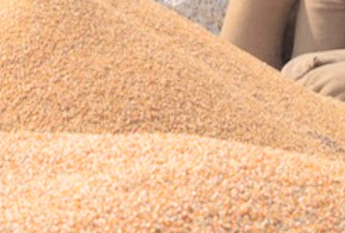 Farmers will be able to sell wheat in mandis till June 10, the department extended the date