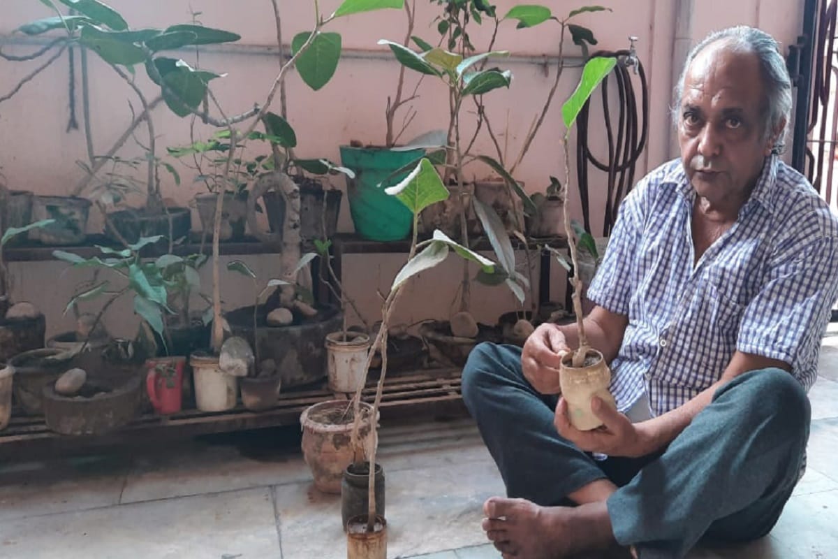 A unique relationship with nature 200 banyan tree planted in the house of bijnor