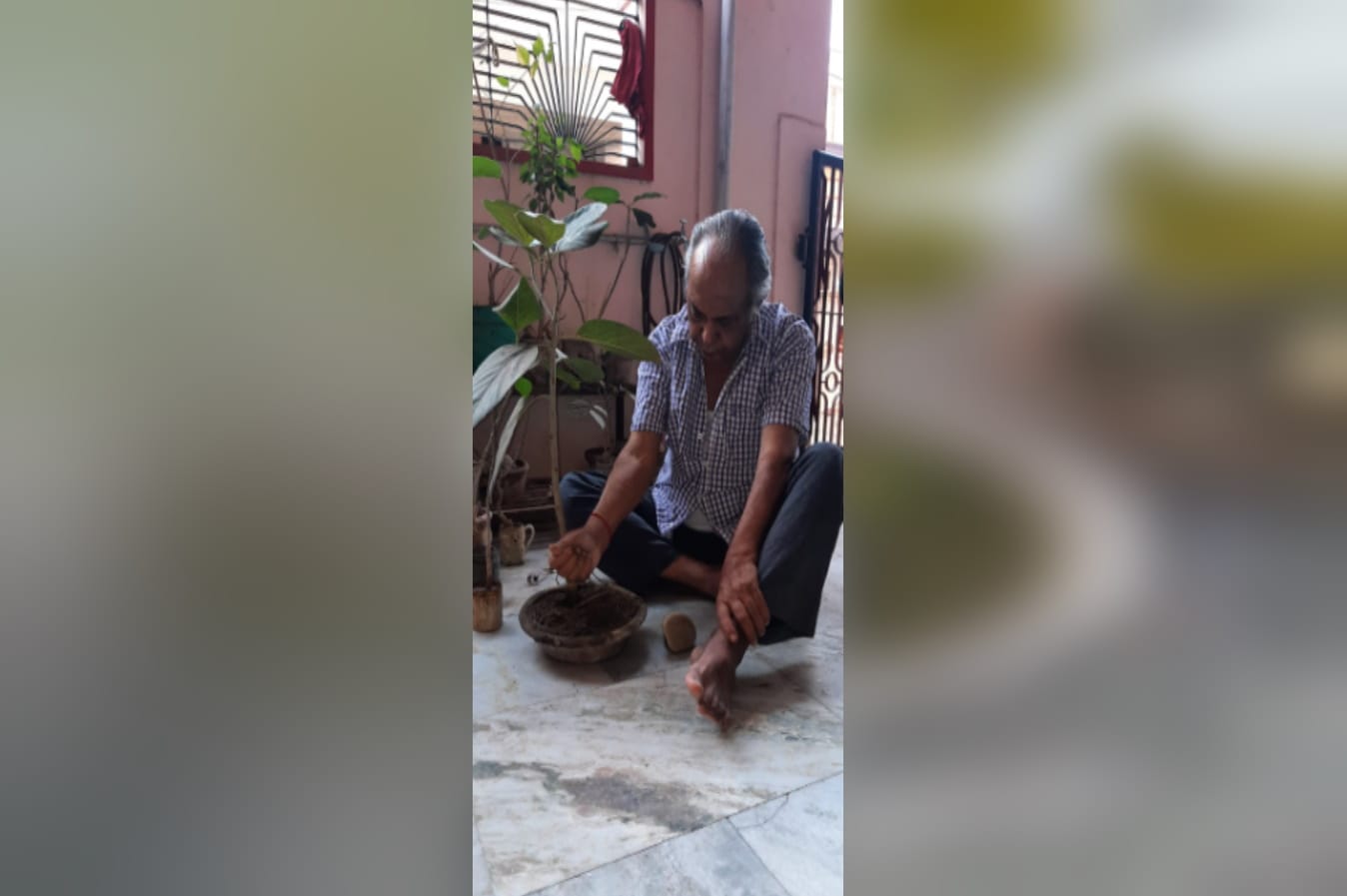 A unique relationship with nature 200 banyan tree planted in the house of bijnor