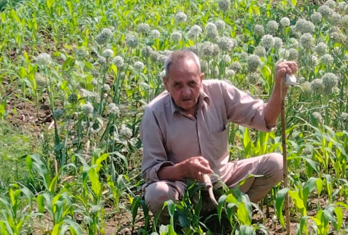 Himachal News: 83 year old farmer Gurdas message for youth encouraging for farming agriculture