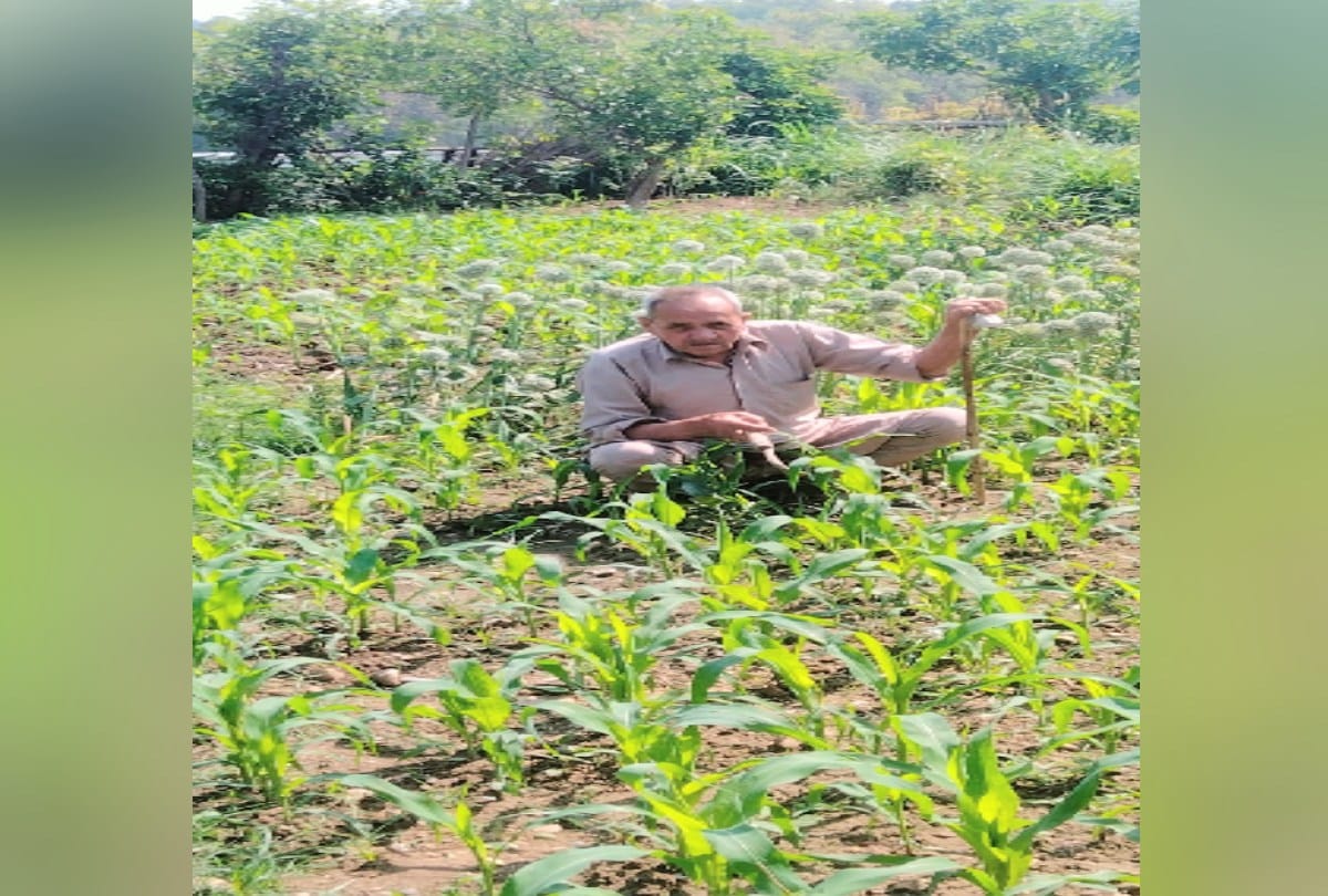 ladengecoronase: Gurdas of una is giving the message of people to join the fields