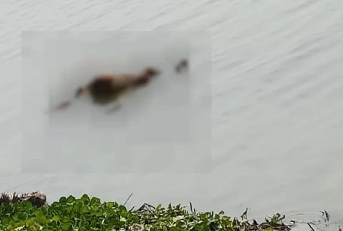 police men deployed to stop dead bodied flow in rivers.