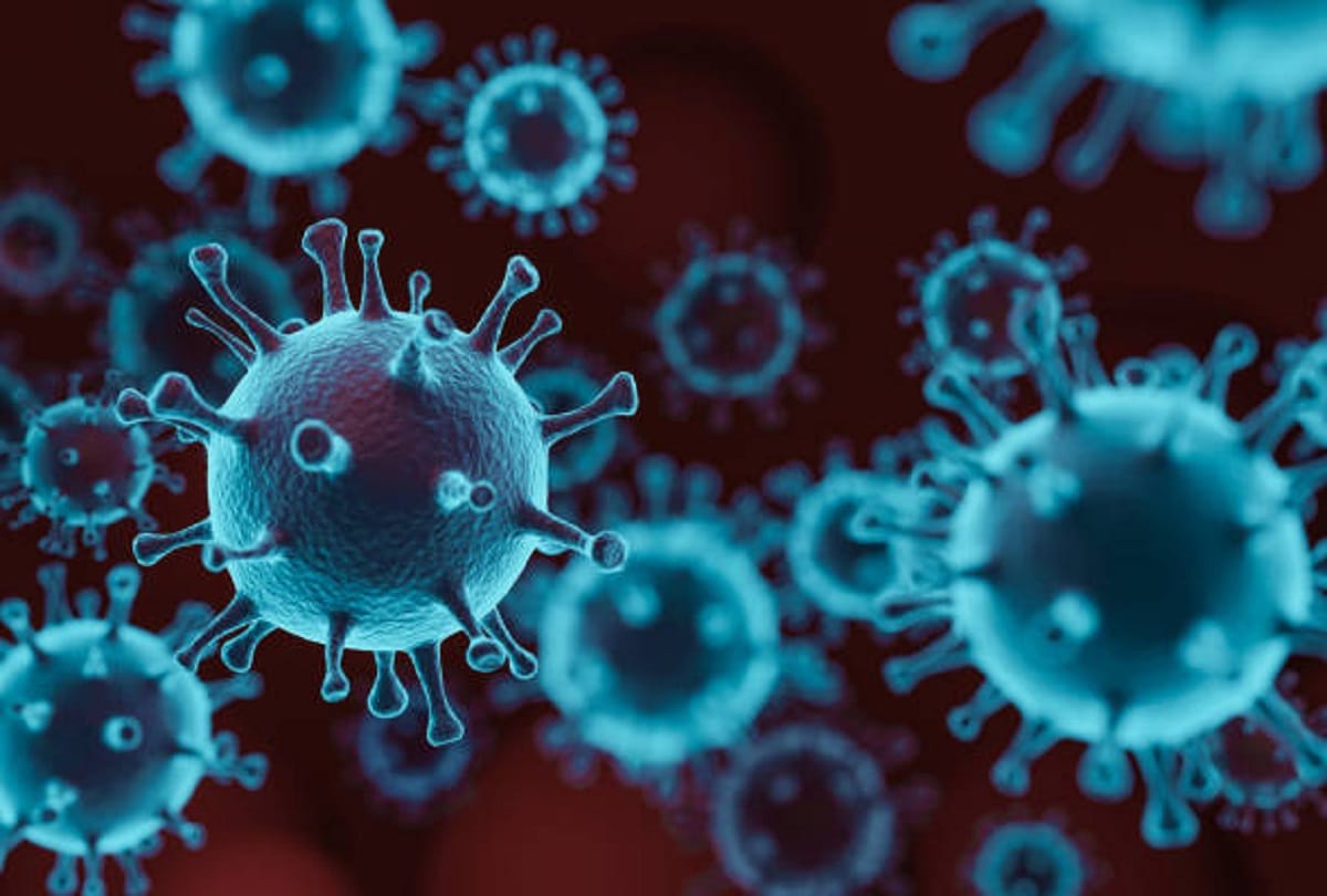 coronavirus mucormycosis treatment by leech therapy ayurveda doctors search