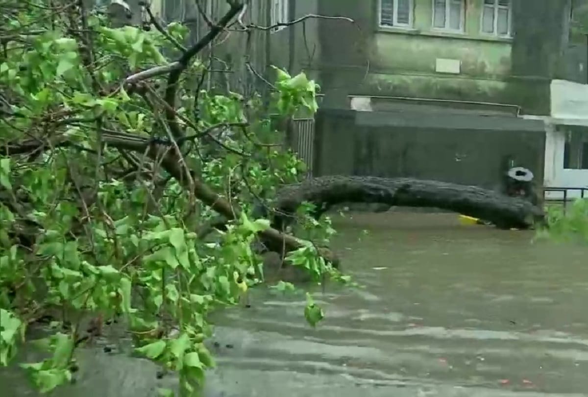 Haryana government issued advisory regarding Tauktae Cyclone