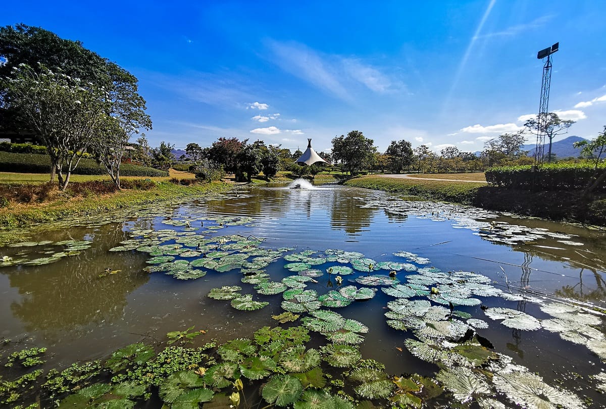 After the Coronavirus period you can spend quality time with your partner in the Lotus Valley madhya pradesh