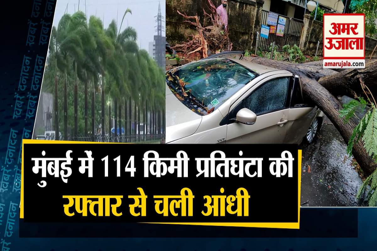 दनादन