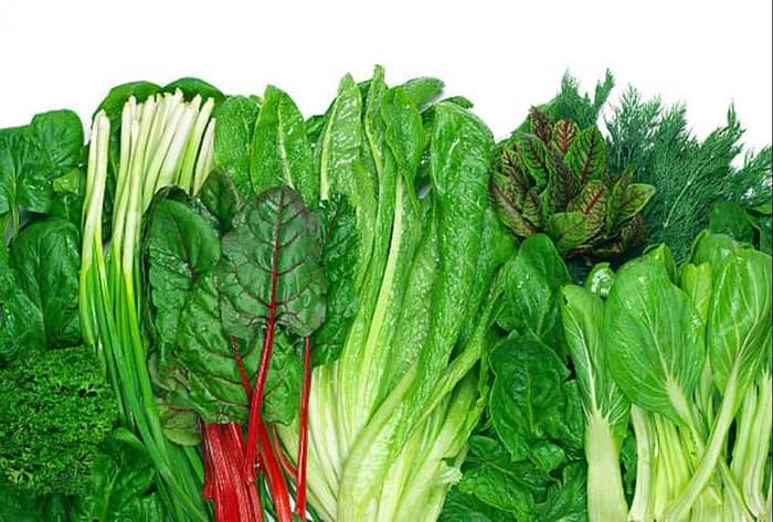 why leafy vegetables are not good in rainy seasons?