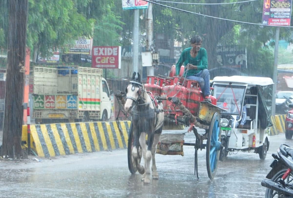 Weather Forecast Update Today in UP Latest News: Weather news,tauktae