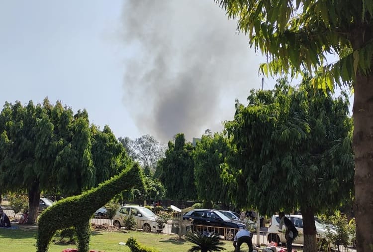 Fire breaks out in forest in Chandigarh