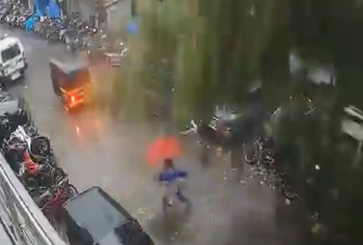 Cyclone Tauktae Video, how the woman saved her life from big tree fallen