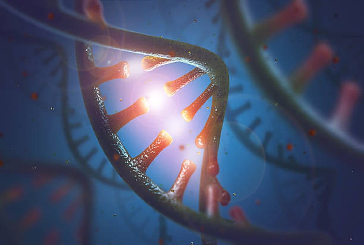 Coronavirus immune system cytokine storm new cause of death of covid patients
