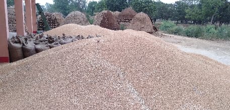 Thousands of quintals of wheat are lying in the open and the weather is getting worse