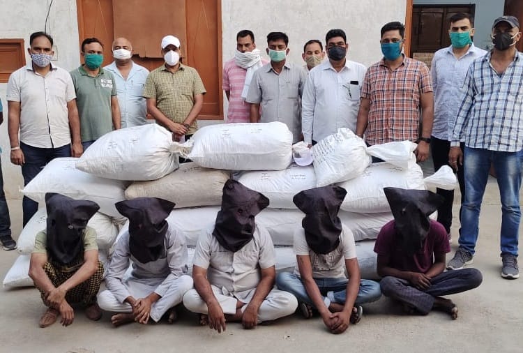 Five drug smugglers arrested with Doda in Sirsa of Haryana