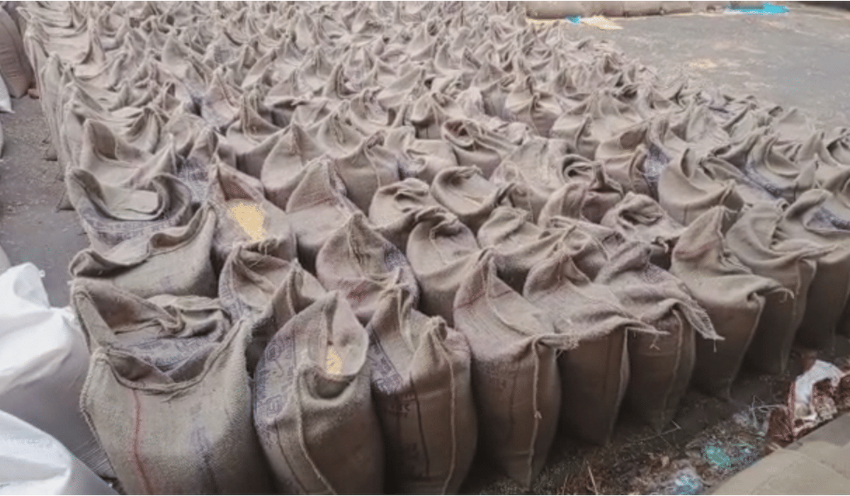 Hundreds of quintal wheat drenched in rain at purchasing center chandauli and bhadohi