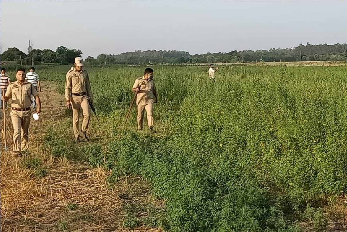 Pakistani drone seen three consecutive days at Kanachak near Indo Pak international border