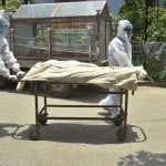 corona virus