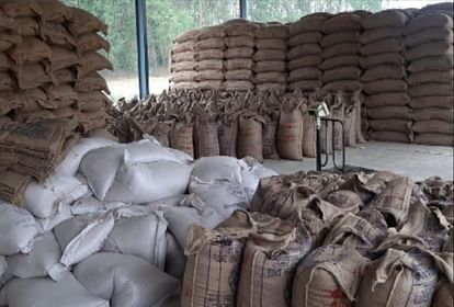 Will get relief from inflation: Preparation to sell 30 lakh tonnes of wheat from buffer stock; Rising cost of flour will be controlled wheat stock