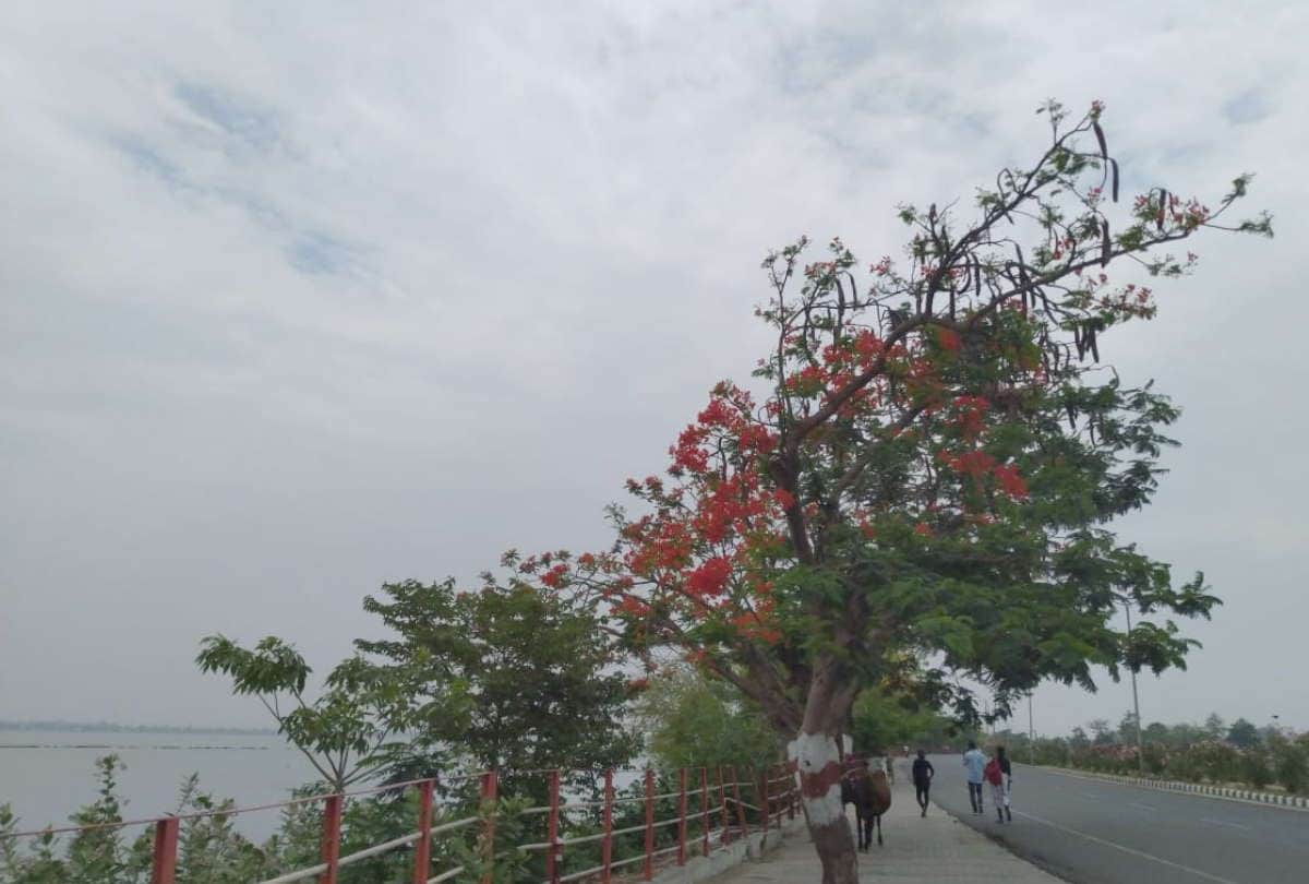 Gorakhpur Monsoon Update News Monsoon will come in Gorakhpur tomorrow or day after tomorrow