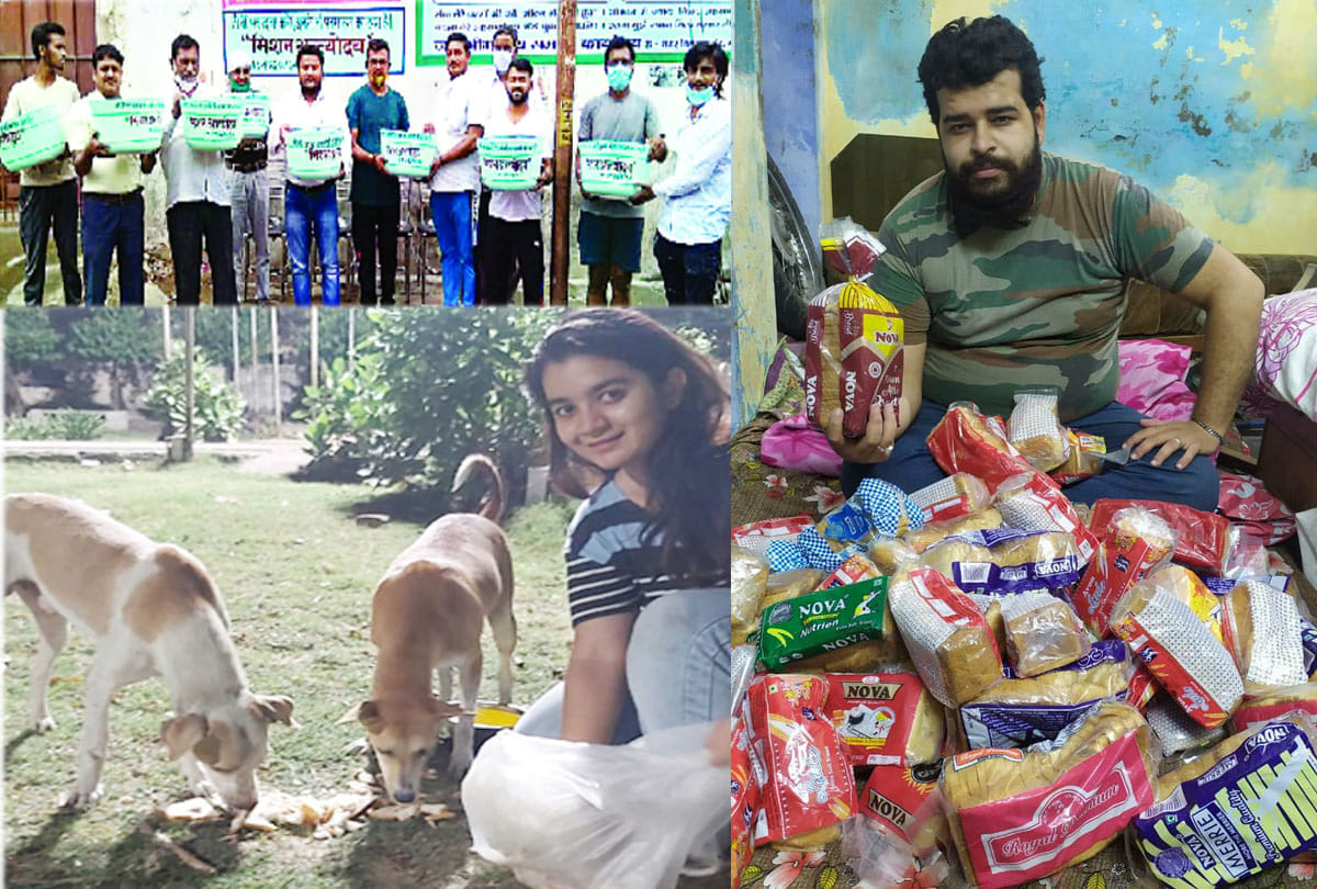 Amar ujala animal lover campaign in kanpur, coronavirus, lockdown