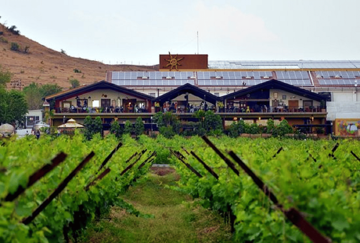 success story of sula wine company owner rajeev samant quit job started grapes farming