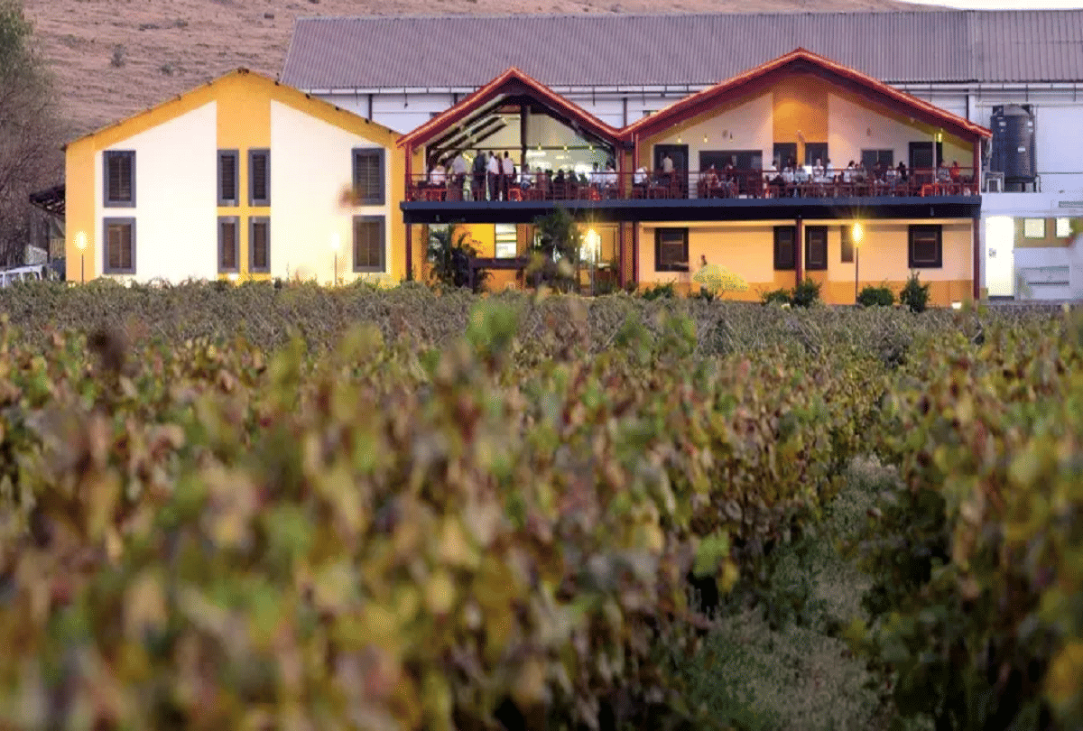 success story of sula wine company owner rajeev samant quit job started grapes farming