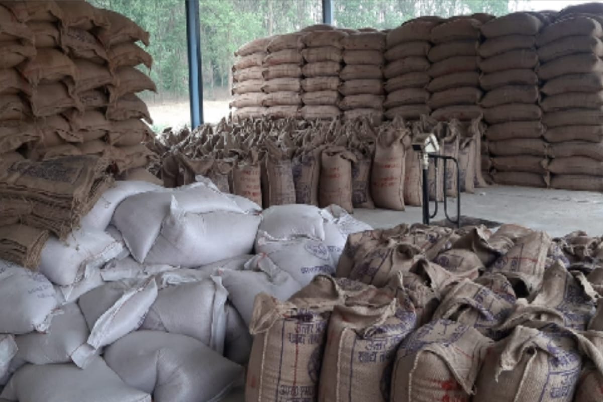 Wheat procurement increased by 240.88 percent compared to last year Gorakhpur