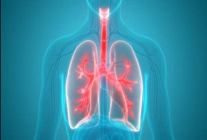 Scientists discover new organ in the human body will keep the lungs healthy