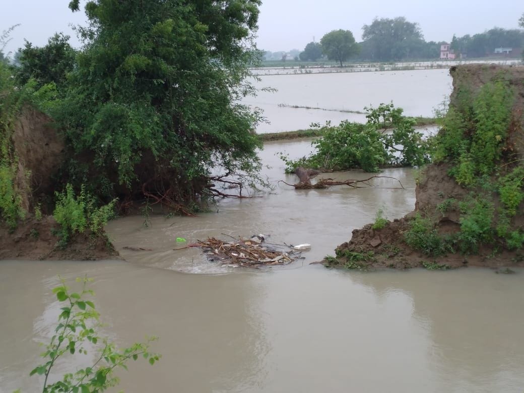 water enterd into field, corp sink