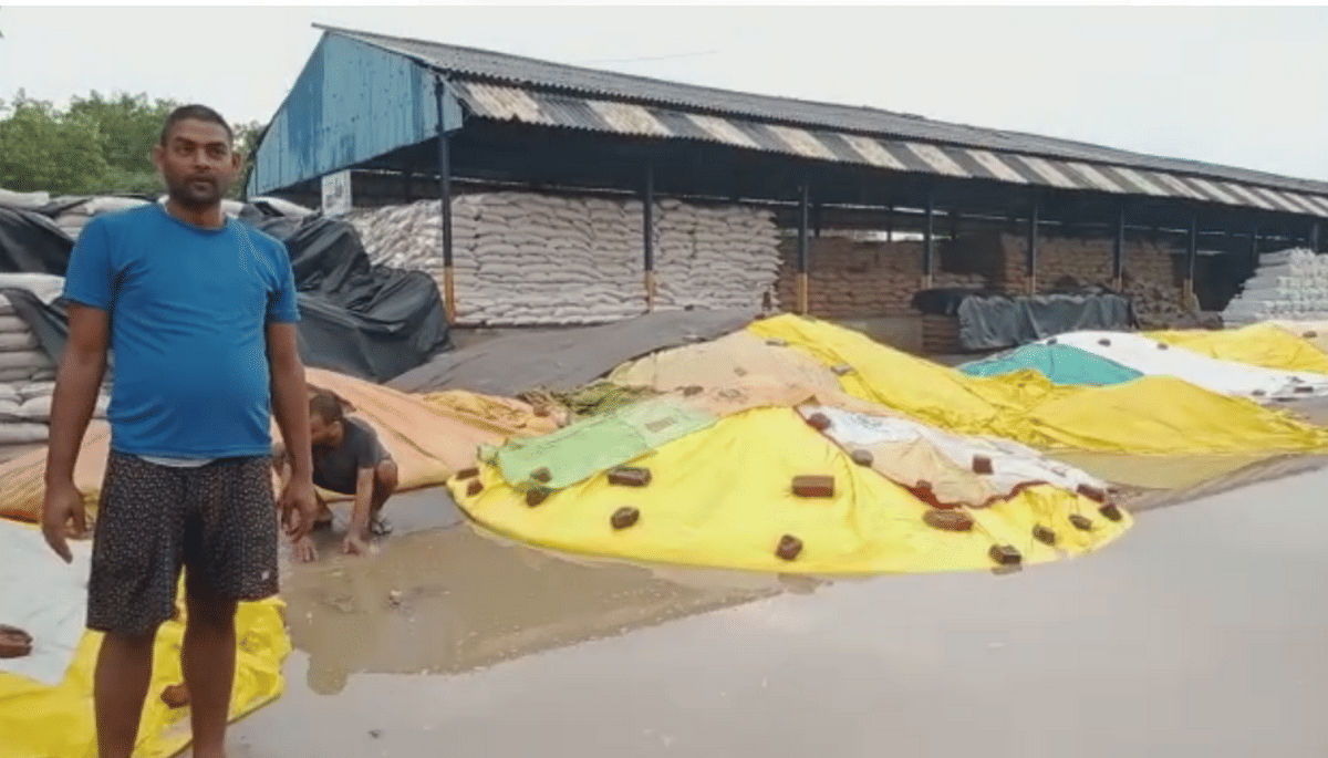 Cyclone Tauktae impact in purvanchal district UP: rain continuously wheat soaked varanasi sonbhadra ballia mirzapur azamgarh