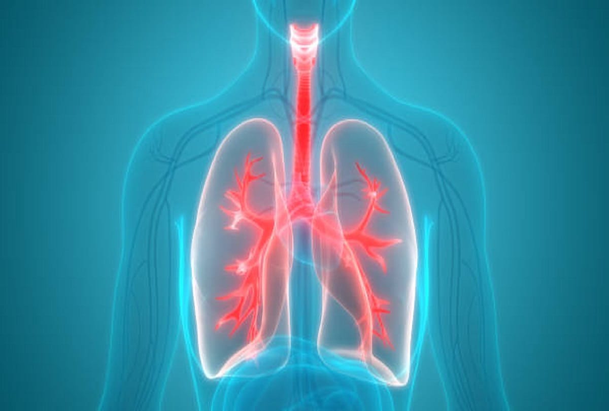 corona virus can damage the lungs