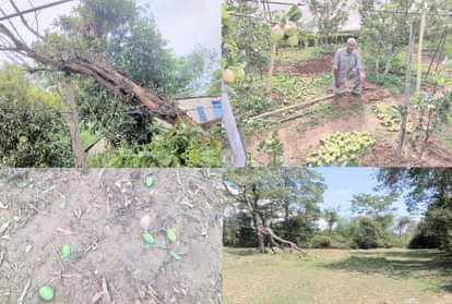 चक्रवाती तूफान ताउते का हिमाचल में दिखा असर।