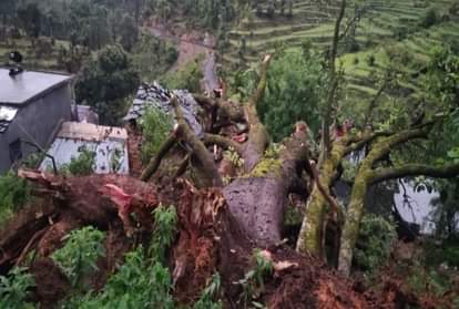 मकान पर विशालकाय पेड़ गिरने से महिला और बच्चे की मौत