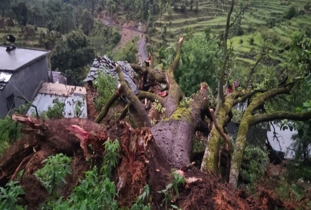Uttarakhand Weather Forecast Today Update: big tree fell on house in bageshwar, two died