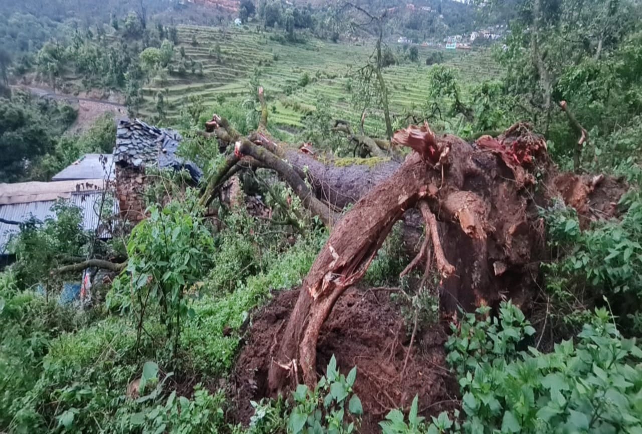 Uttarakhand Weather Forecast Today Update: big tree fell on house in bageshwar, two died