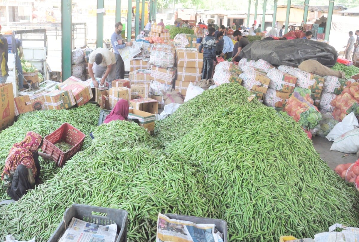 himachal hill area vegetables demand Increased in the mandis of the country, due to this, the price increased