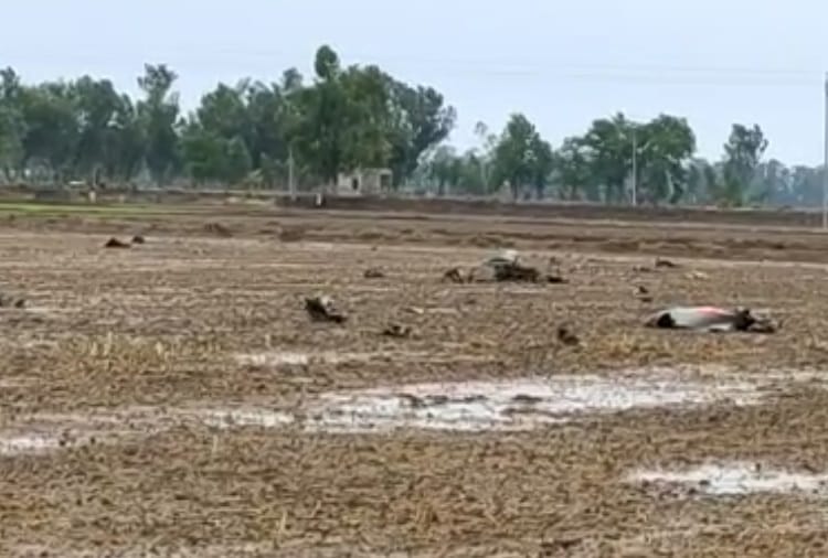 Pilot of Crashed MIG-21 had jumped from the plane before the accident in Moga of Punjab