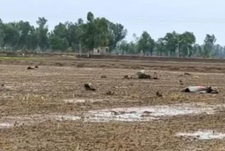 Aircraft parts missing after MiG-21 crashed in Moga of Punjab