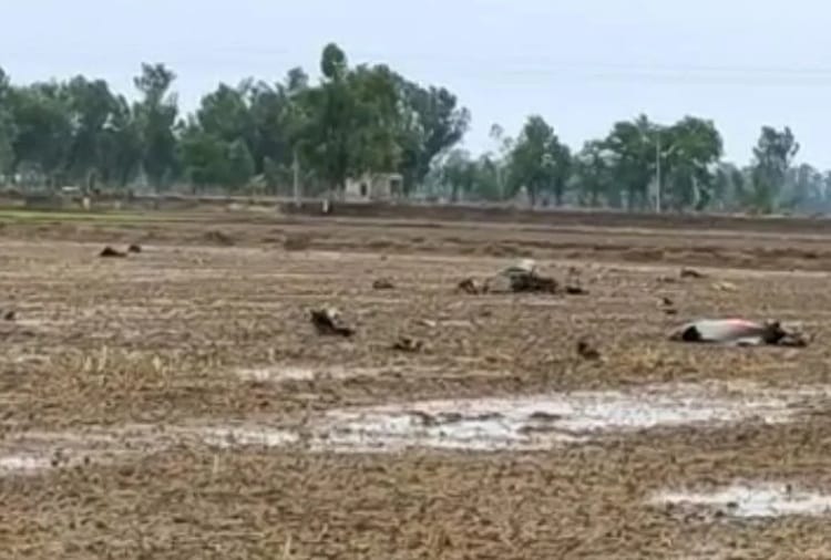Aircraft parts missing after MiG-21 crashed in Moga of Punjab