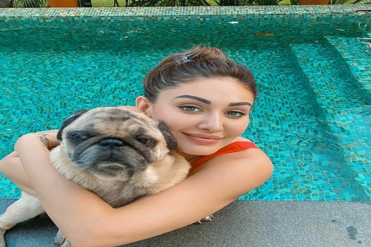 shefali jariwala hot pool pictures in hindi
