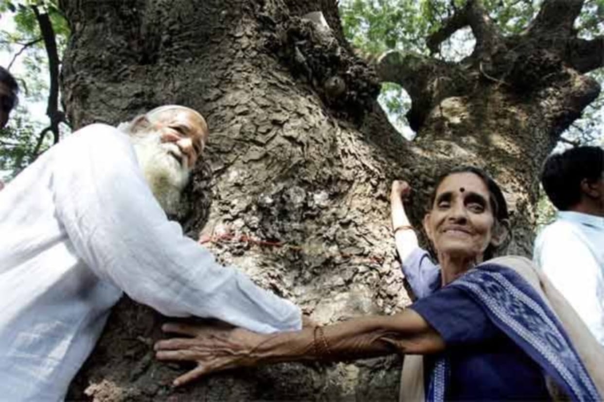 sundarlal bahuguna passes away : sundarlal bahuguna honored by many awards