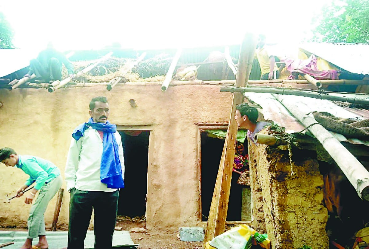 Cyclone Tauktae effects also impacts Himachal: roofs of seven cowsheds blown away, two houses damaged in three districts