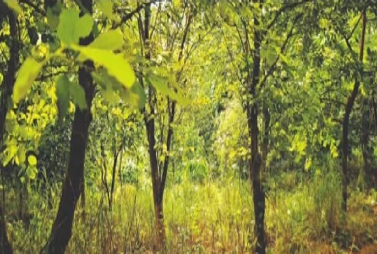 Seven biodiversity parks giving life to 921 acres of Delhi
