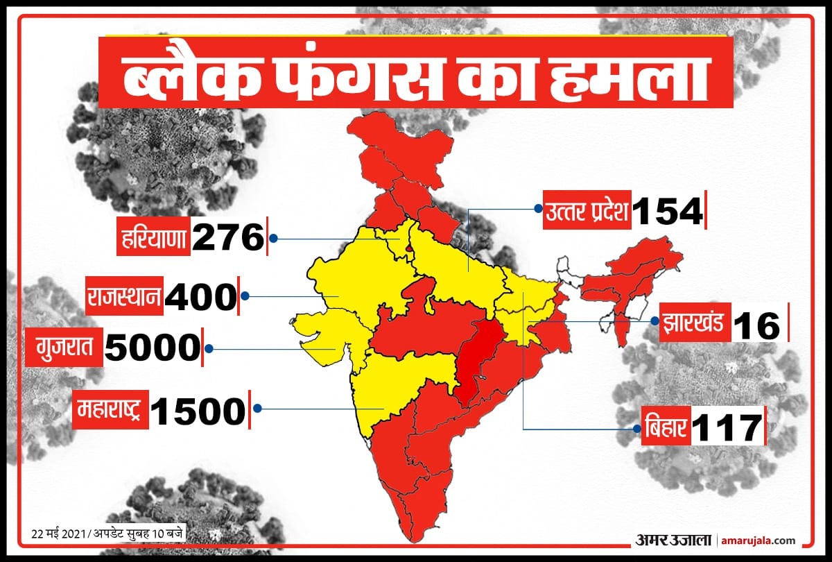 Black fungus Update:   Mucormycosis Becoming Dangerous more than 7558 Patients So Far In 10 States,  Gujarat reports white fungus case