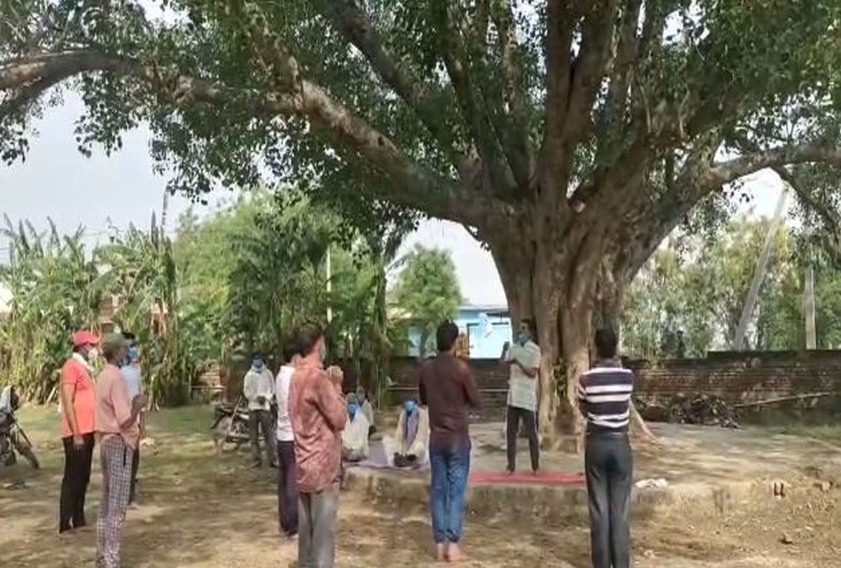 villagers living under peepal tree in naubari village of agra