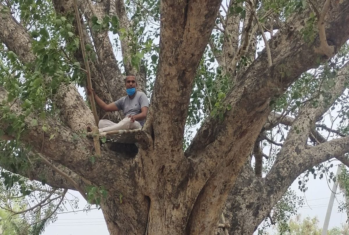 villagers living under peepal tree in naubari village of agra