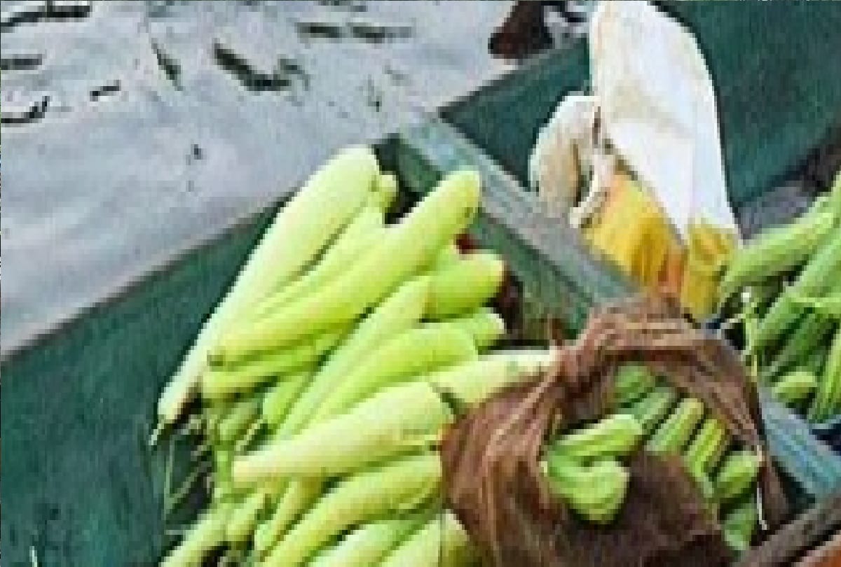 Coronavirus destroyed lives of farmers and shopkeepers