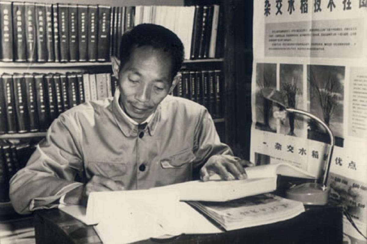 China: father of Hybrid Rice Yuan Longping passed away