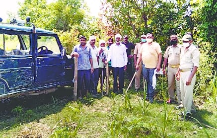Tiger made buffalo in Kheri, panic among villagers